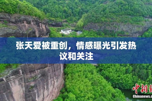 张天爱被重创，情感曝光引发热议和关注