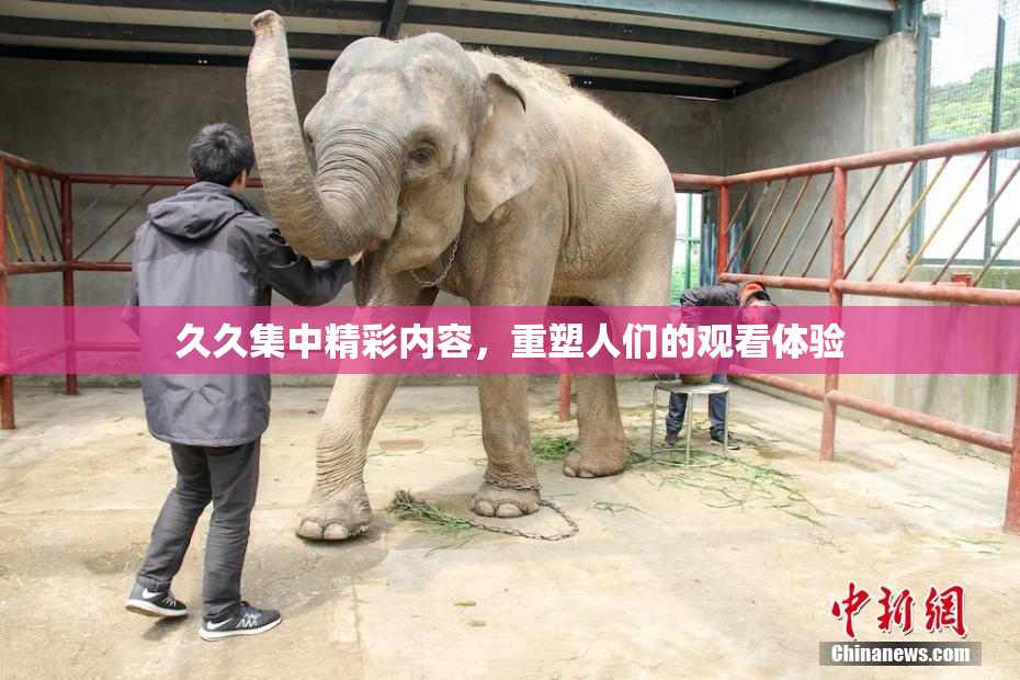 久久集中精彩内容，重塑人们的观看体验