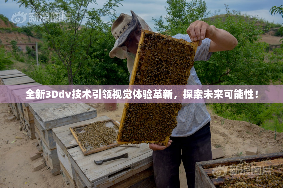 全新3Ddv技术引领视觉体验革新，探索未来可能性！