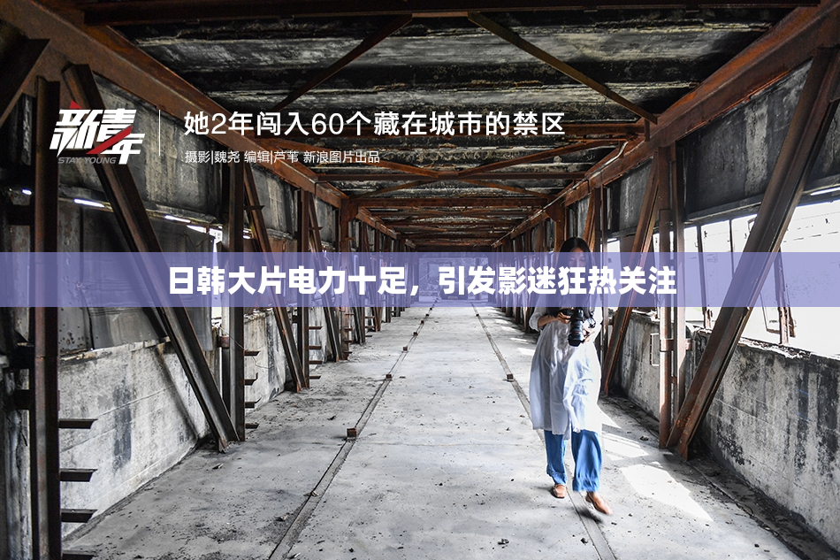 日韩大片电力十足，引发影迷狂热关注