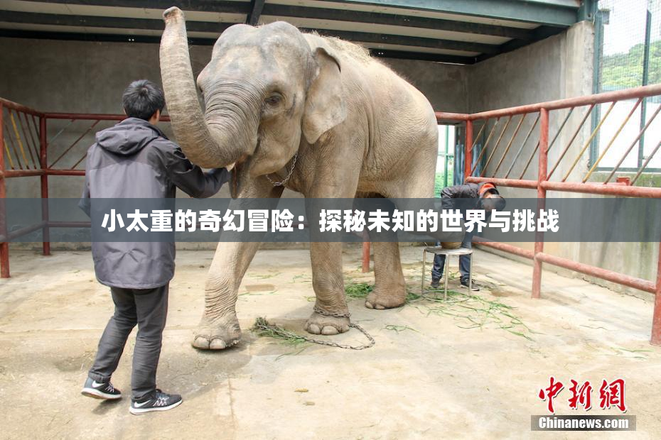 小太重的奇幻冒险：探秘未知的世界与挑战