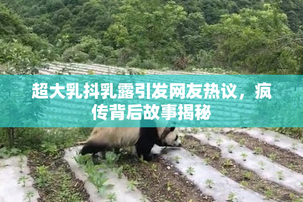 超大乳抖乳露引发网友热议，疯传背后故事揭秘