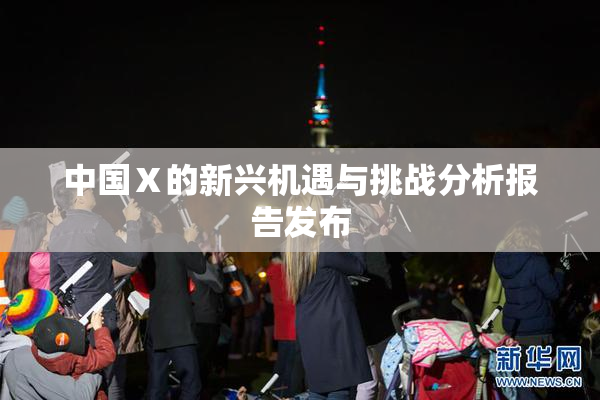 中国Ⅹ的新兴机遇与挑战分析报告发布