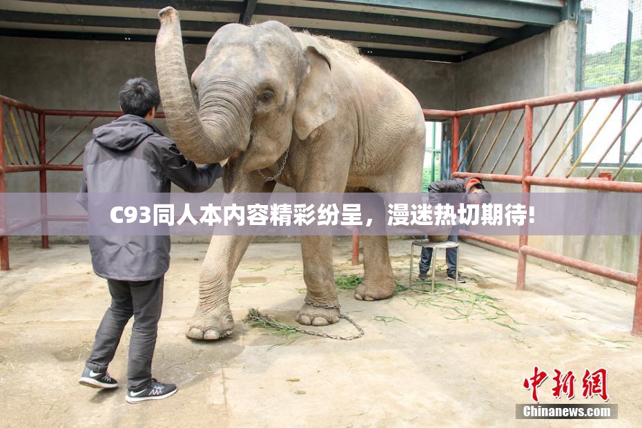 C93同人本内容精彩纷呈，漫迷热切期待!
