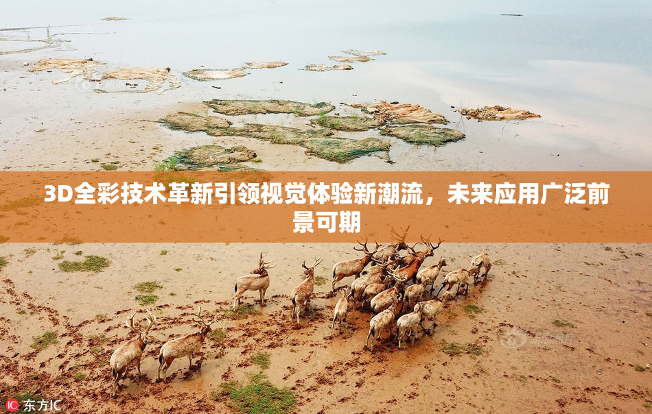 3D全彩技术革新引领视觉体验新潮流，未来应用广泛前景可期