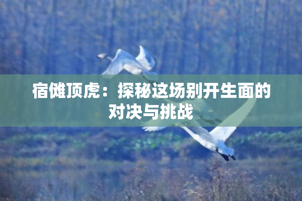 宿傩顶虎：探秘这场别开生面的对决与挑战