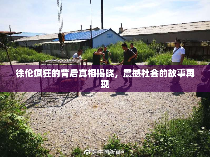 徐伦疯狂的背后真相揭晓，震撼社会的故事再现