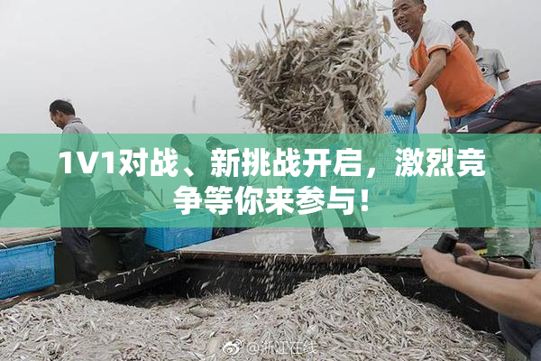 1V1对战、新挑战开启，激烈竞争等你来参与！