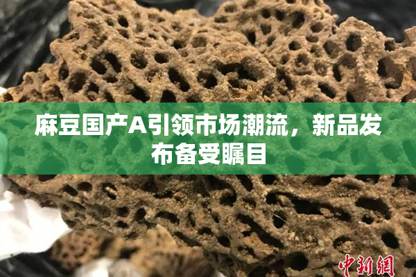 麻豆国产A引领市场潮流，新品发布备受瞩目