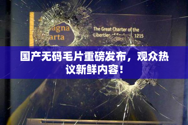 国产无码毛片重磅发布，观众热议新鲜内容！