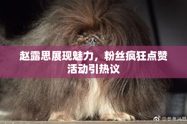 赵露思展现魅力，粉丝疯狂点赞活动引热议