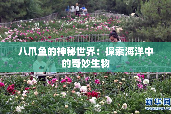 八爪鱼的神秘世界：探索海洋中的奇妙生物