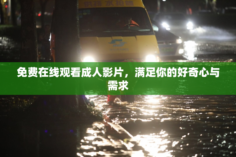 免费在线观看成人影片，满足你的好奇心与需求