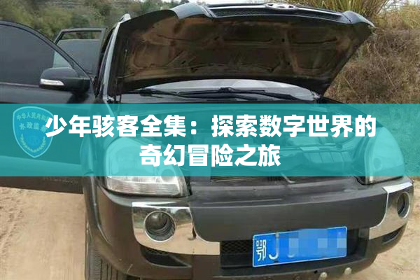 少年骇客全集：探索数字世界的奇幻冒险之旅