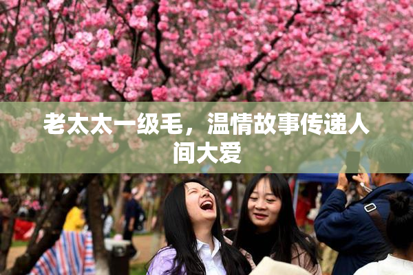 老太太一级毛，温情故事传递人间大爱