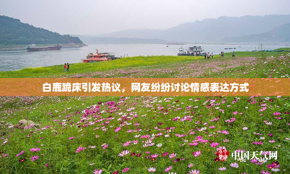 白鹿跪床引发热议，网友纷纷讨论情感表达方式