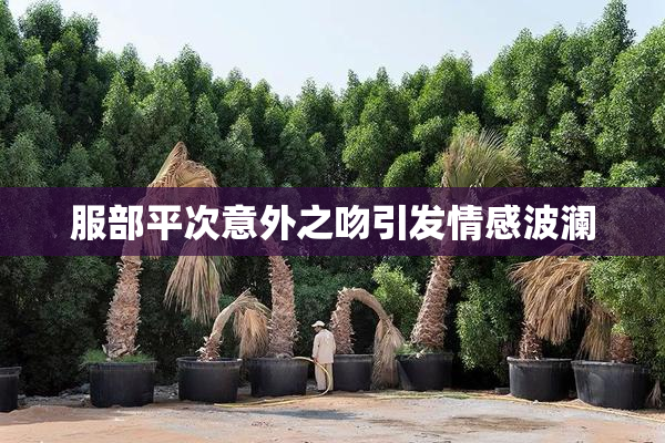服部平次意外之吻引发情感波澜