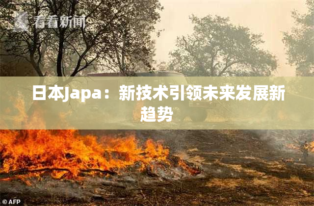 日本Japa：新技术引领未来发展新趋势
