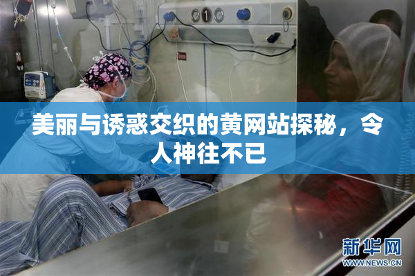 美丽与诱惑交织的黄网站探秘，令人神往不已