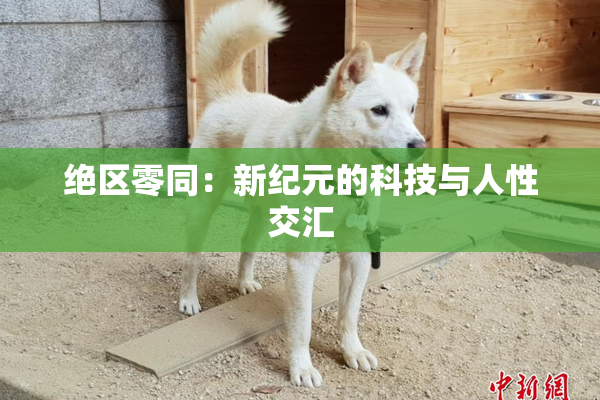 绝区零同：新纪元的科技与人性交汇