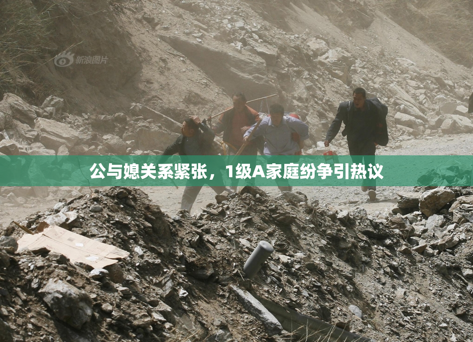 公与媳关系紧张，1级A家庭纷争引热议