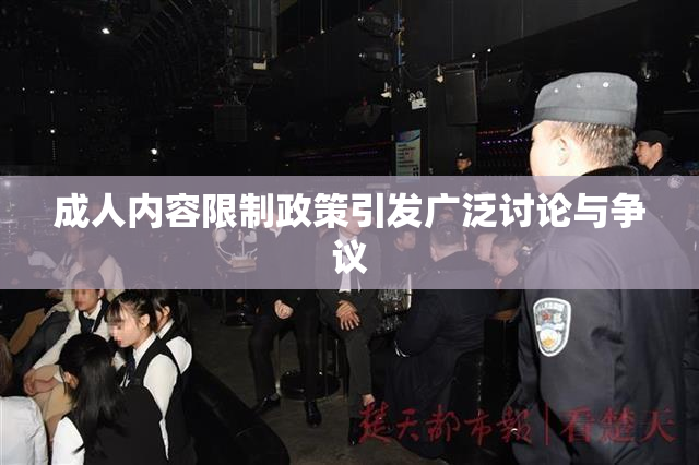 成人内容限制政策引发广泛讨论与争议