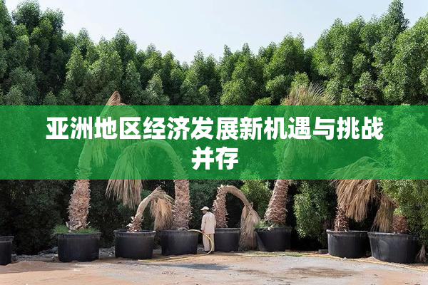 亚洲地区经济发展新机遇与挑战并存