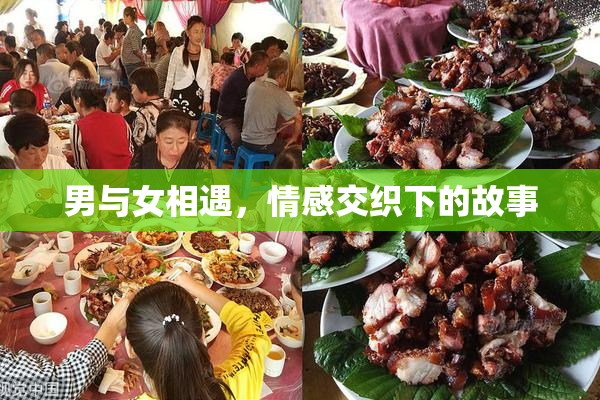 男与女相遇，情感交织下的故事