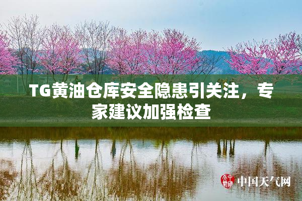 TG黄油仓库安全隐患引关注，专家建议加强检查