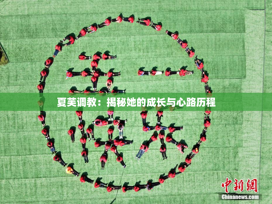 夏芙调教：揭秘她的成长与心路历程