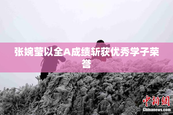 张婉莹以全A成绩斩获优秀学子荣誉
