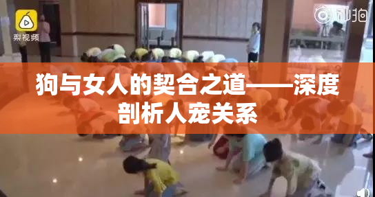 狗与女人的契合之道——深度剖析人宠关系