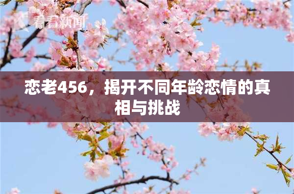 恋老456，揭开不同年龄恋情的真相与挑战