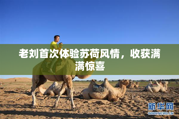老刘首次体验苏荷风情，收获满满惊喜