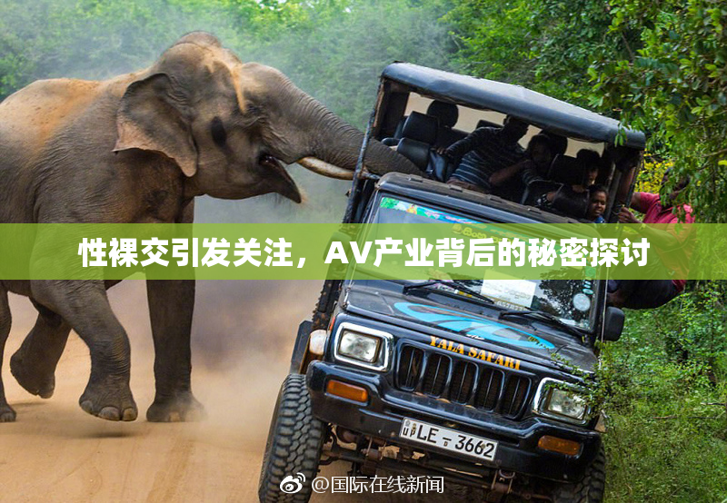 性裸交引发关注，AV产业背后的秘密探讨