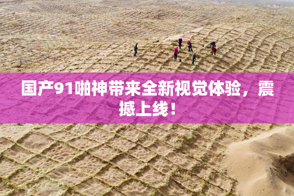 国产91啪神带来全新视觉体验，震撼上线！