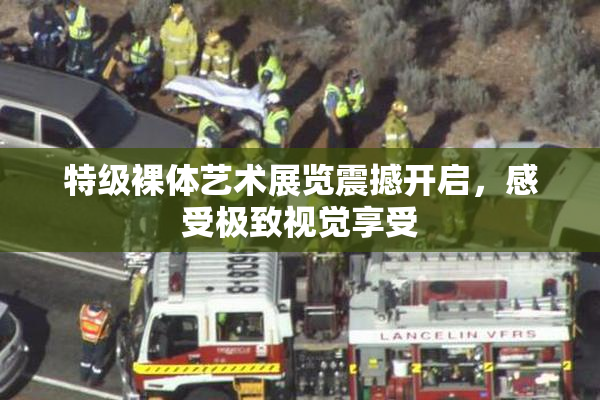 特级裸体艺术展览震撼开启，感受极致视觉享受