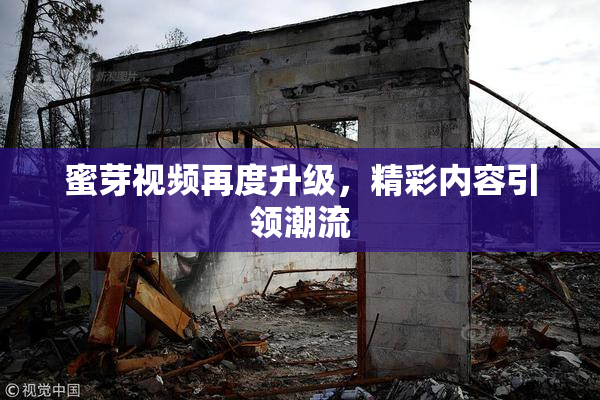 蜜芽视频再度升级，精彩内容引领潮流