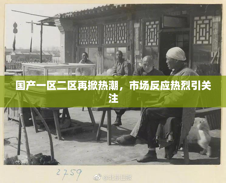 国产一区二区再掀热潮，市场反应热烈引关注