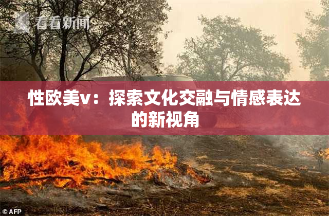 性欧美v：探索文化交融与情感表达的新视角