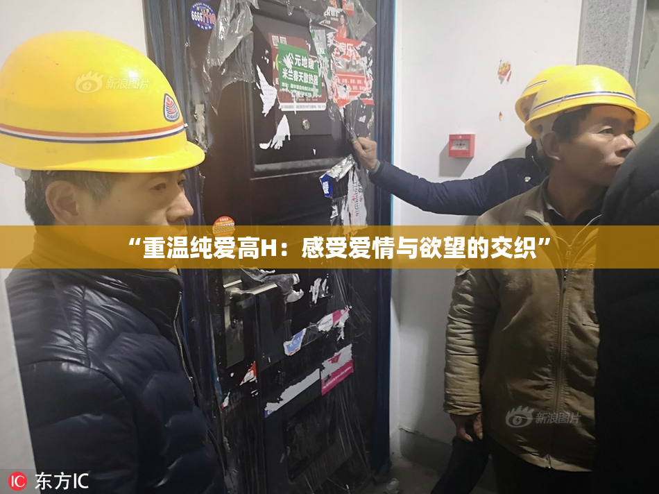 “重温纯爱高H：感受爱情与欲望的交织”