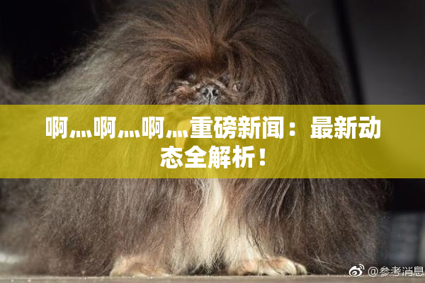 啊灬啊灬啊灬重磅新闻：最新动态全解析！