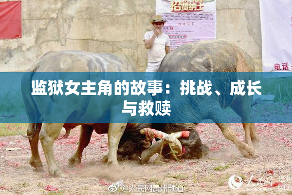 监狱女主角的故事：挑战、成长与救赎