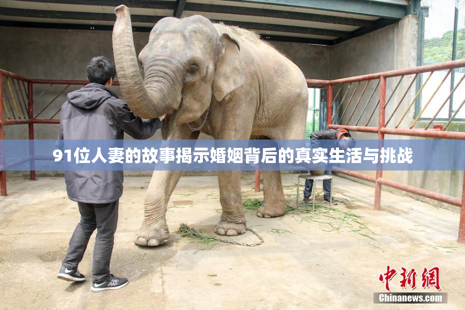 91位人妻的故事揭示婚姻背后的真实生活与挑战