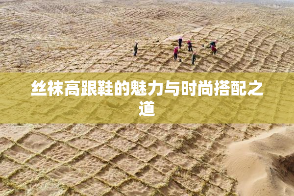 丝袜高跟鞋的魅力与时尚搭配之道
