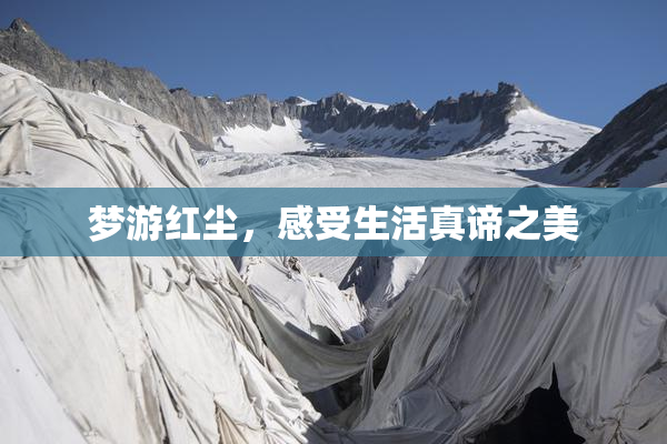 梦游红尘，感受生活真谛之美