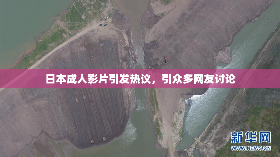日本成人影片引发热议，引众多网友讨论