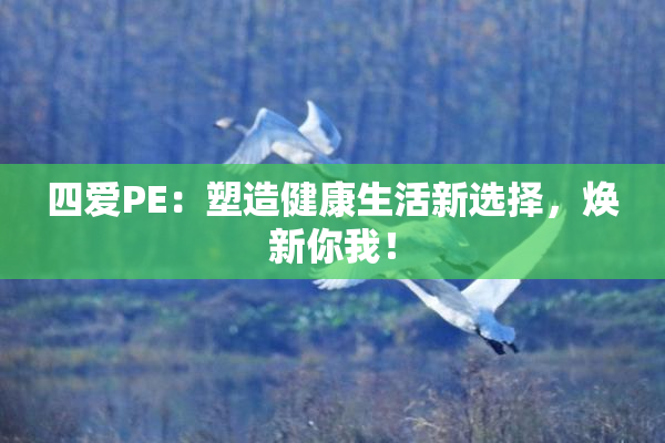 四爱PE：塑造健康生活新选择，焕新你我！