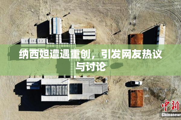纳西妲遭遇重创，引发网友热议与讨论