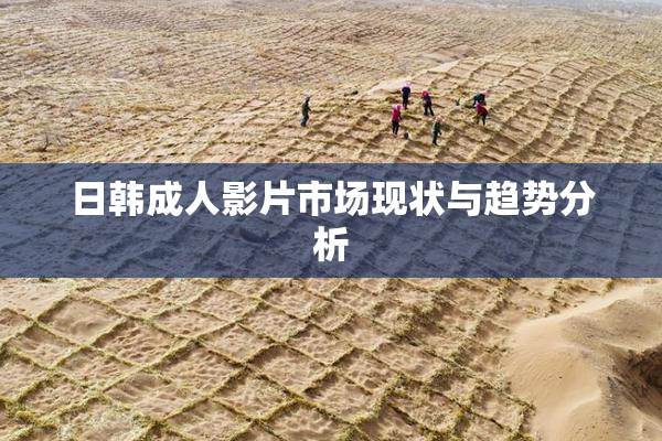 日韩成人影片市场现状与趋势分析